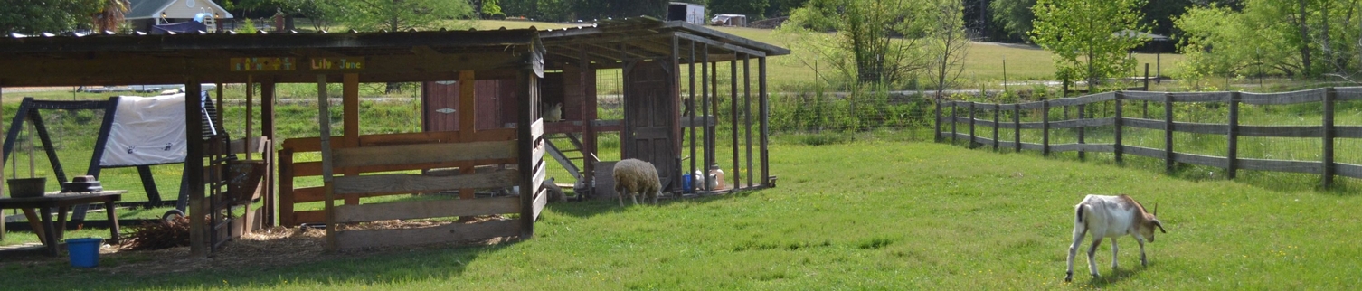 2025 Farm