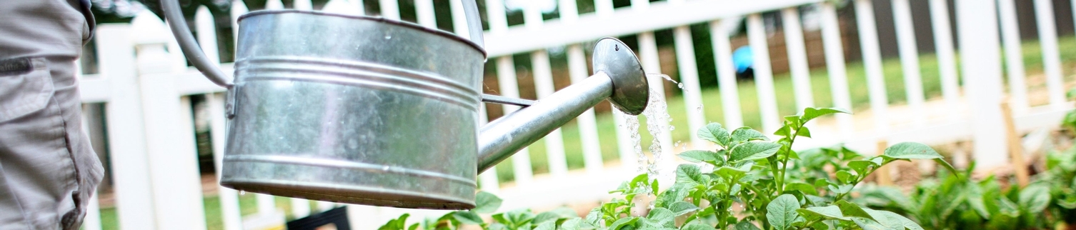 primary boy water can in garden